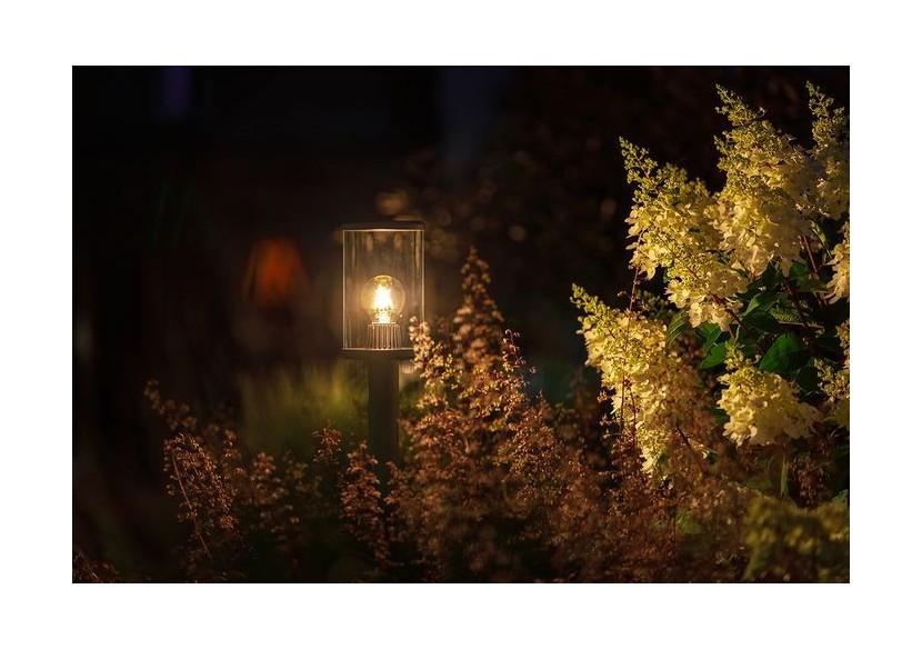 Eros Lo Borne lumineuse-LP217P- Light Pro