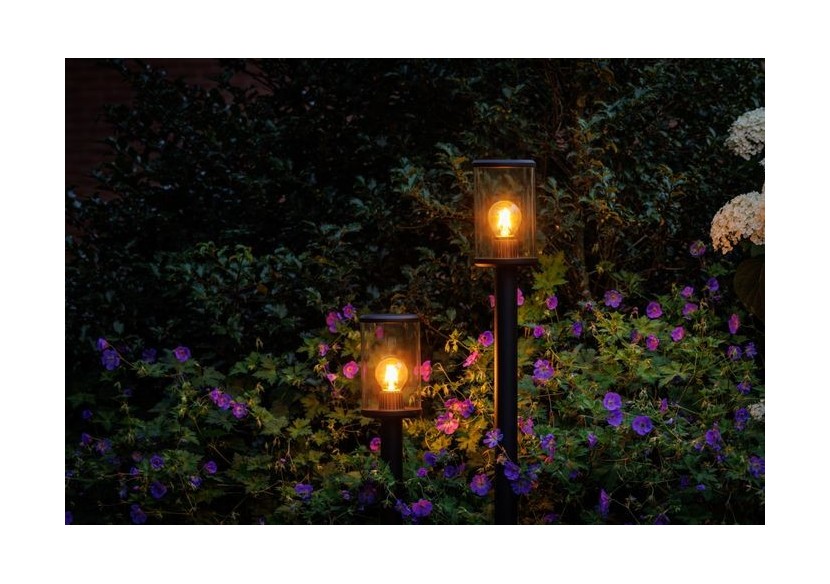 Eros Lo Borne lumineuse-LP217P- Light Pro