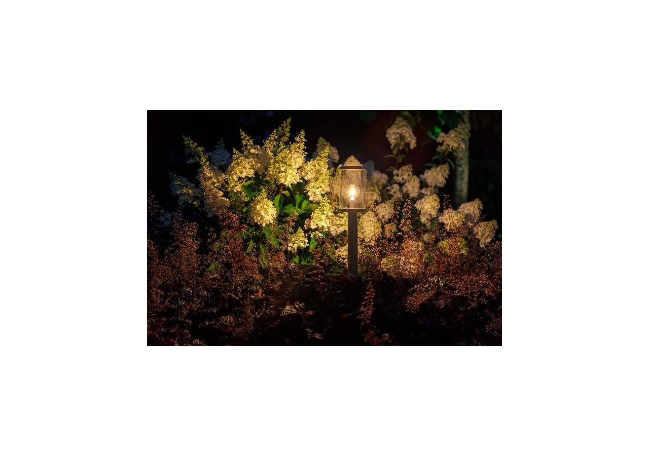 Eros Hi Borne lumineuse-LP214P- Light Pro