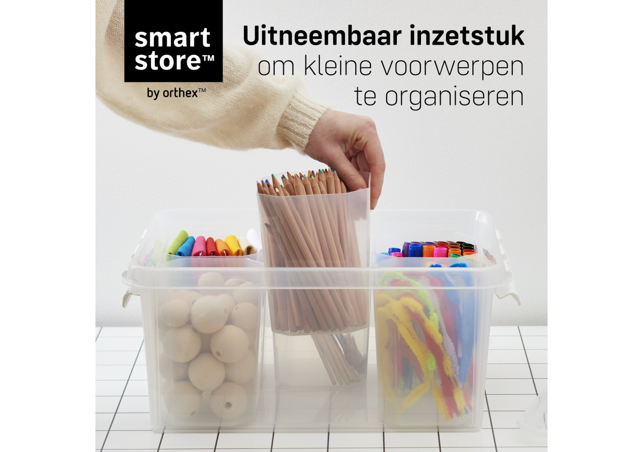 Boîte de rangement SmartStore Classic 15 - 14 litres avec séparateurs - OR 092716 - Orthex