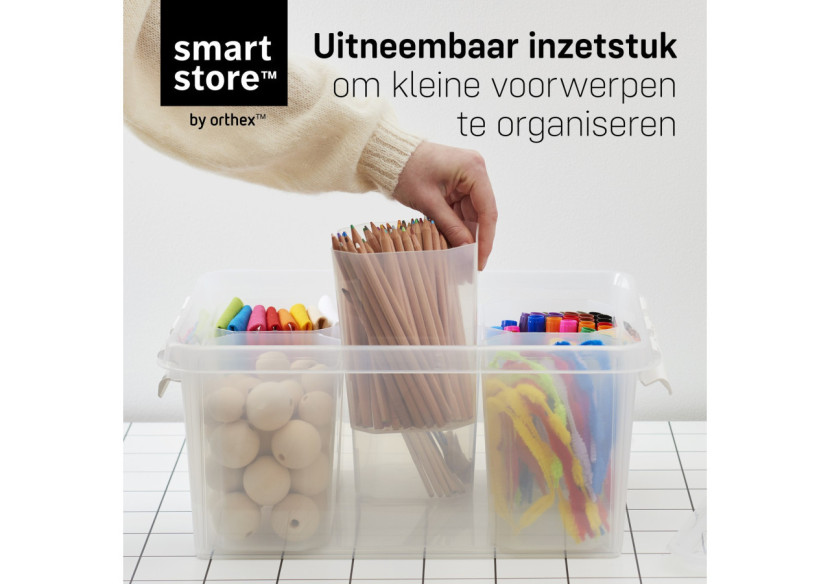 Boîte de rangement SmartStore Classic 15 - 14 litres avec séparateurs - OR 092716 - Orthex