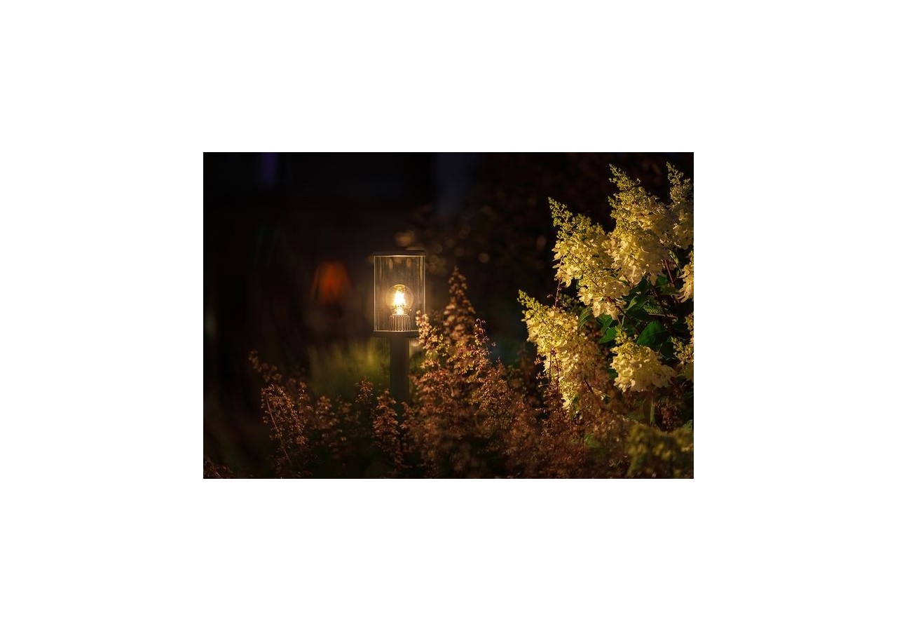 Eros Hi Borne lumineuse-LP214P- Light Pro