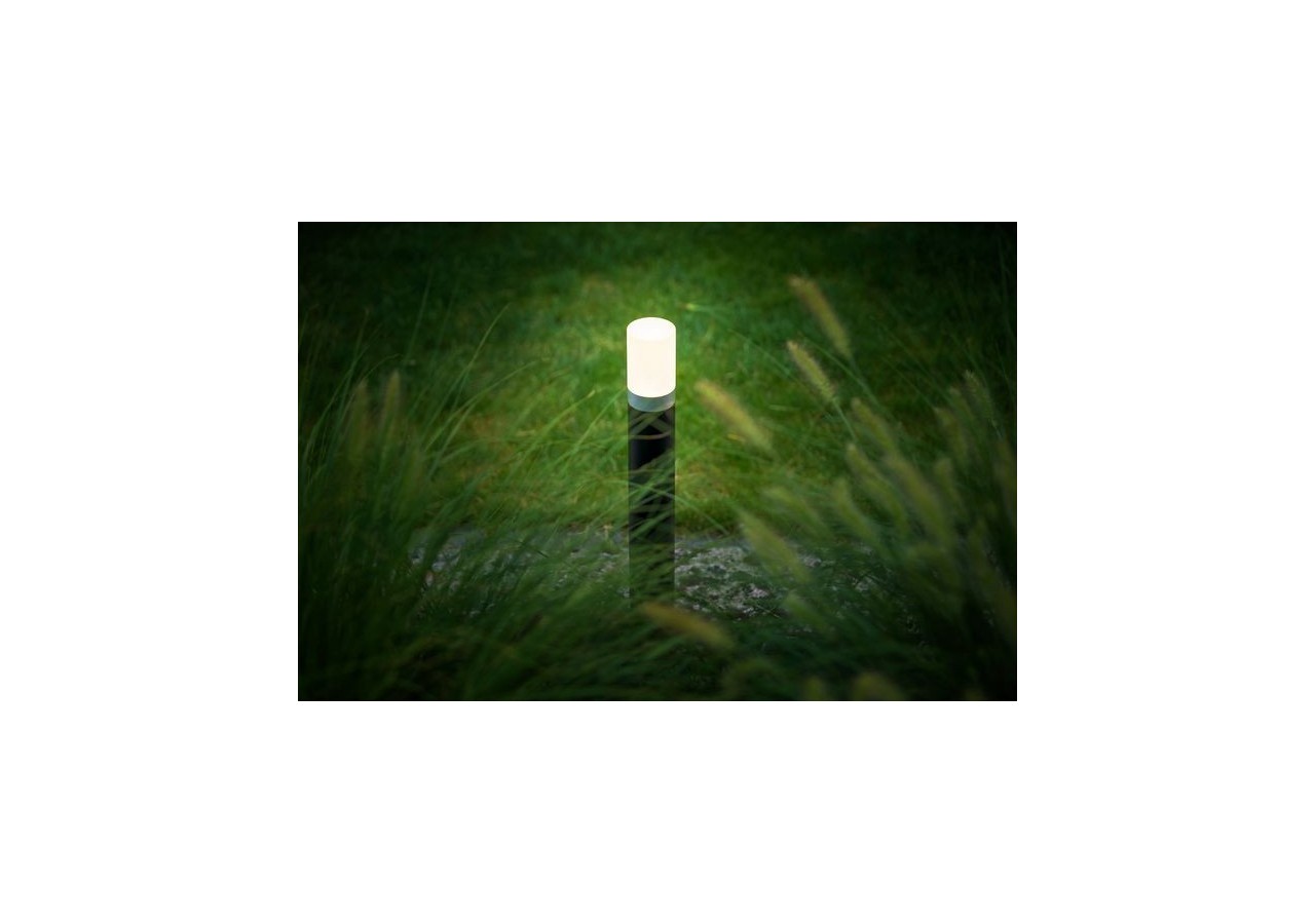 Barite 60 Borne lumineuse-LP111P- Light Pro