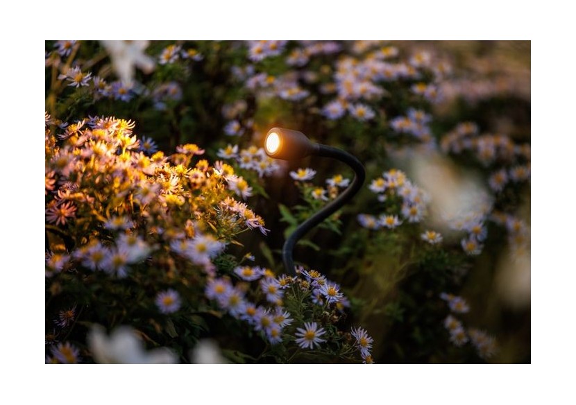 Xible Spots encastrés-LP224S- Light Pro