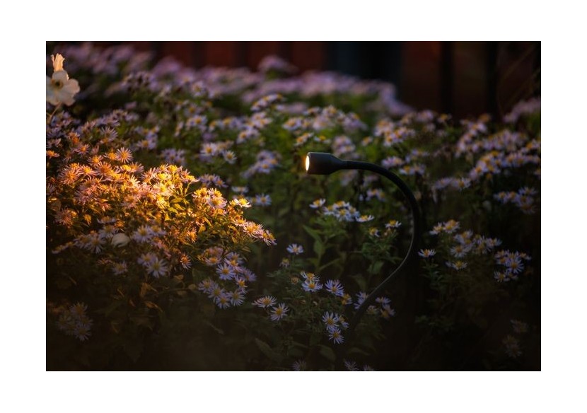 Xible Spots encastrés-LP224S- Light Pro