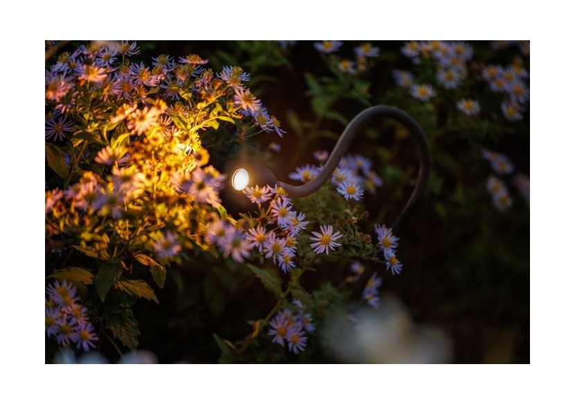 Xible Spots encastrés-LP224S- Light Pro