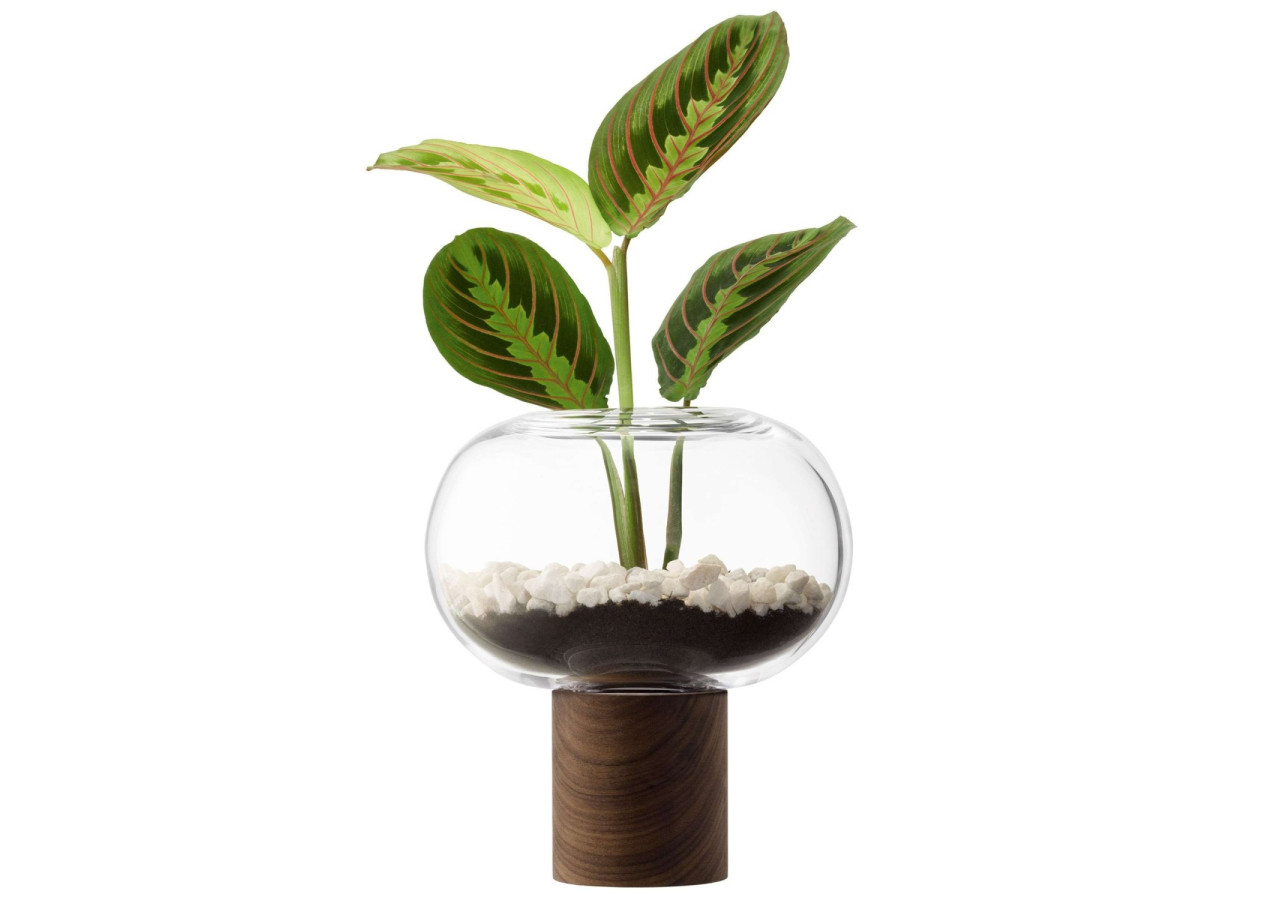 Vase Oblate 21,5 cm - Design moderne en verre - LS 579646 - L.S.A.