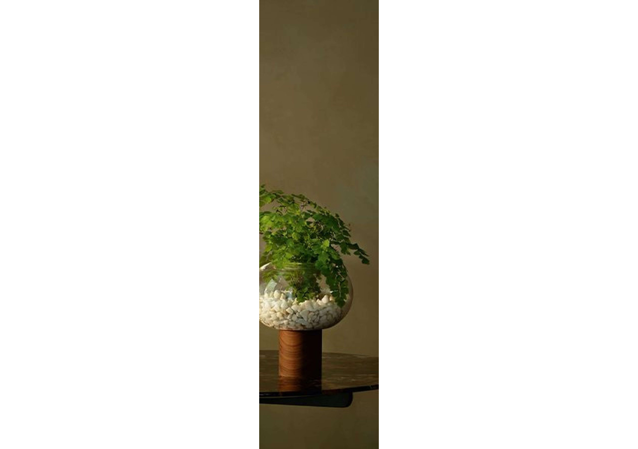 Vase Oblate 21,5 cm - Design moderne en verre - LS 579646 - L.S.A.
