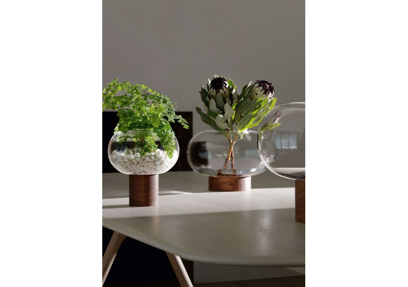 Vase Oblate 21,5 cm - Design moderne en verre - LS 579646 - L.S.A.