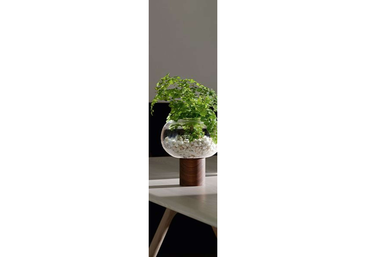 Vase Oblate 21,5 cm - Design moderne en verre - LS 579646 - L.S.A.