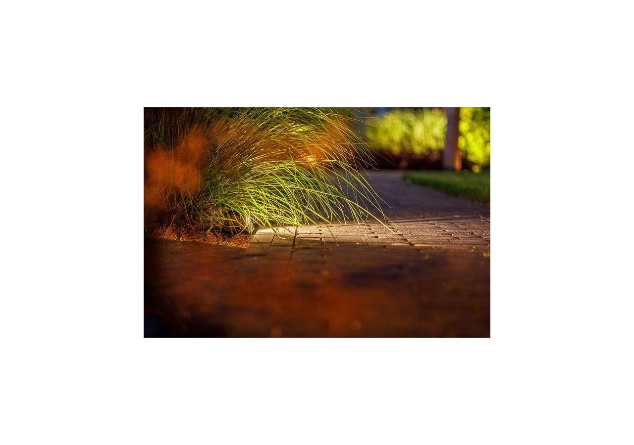 Tiga DL Eclairage murale-LP209S- Light Pro