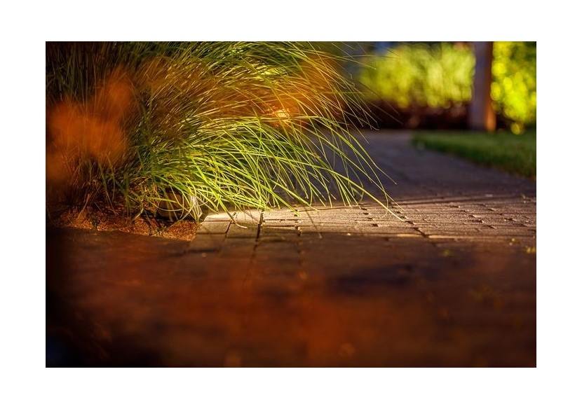 Tiga DL Eclairage murale-LP209S- Light Pro