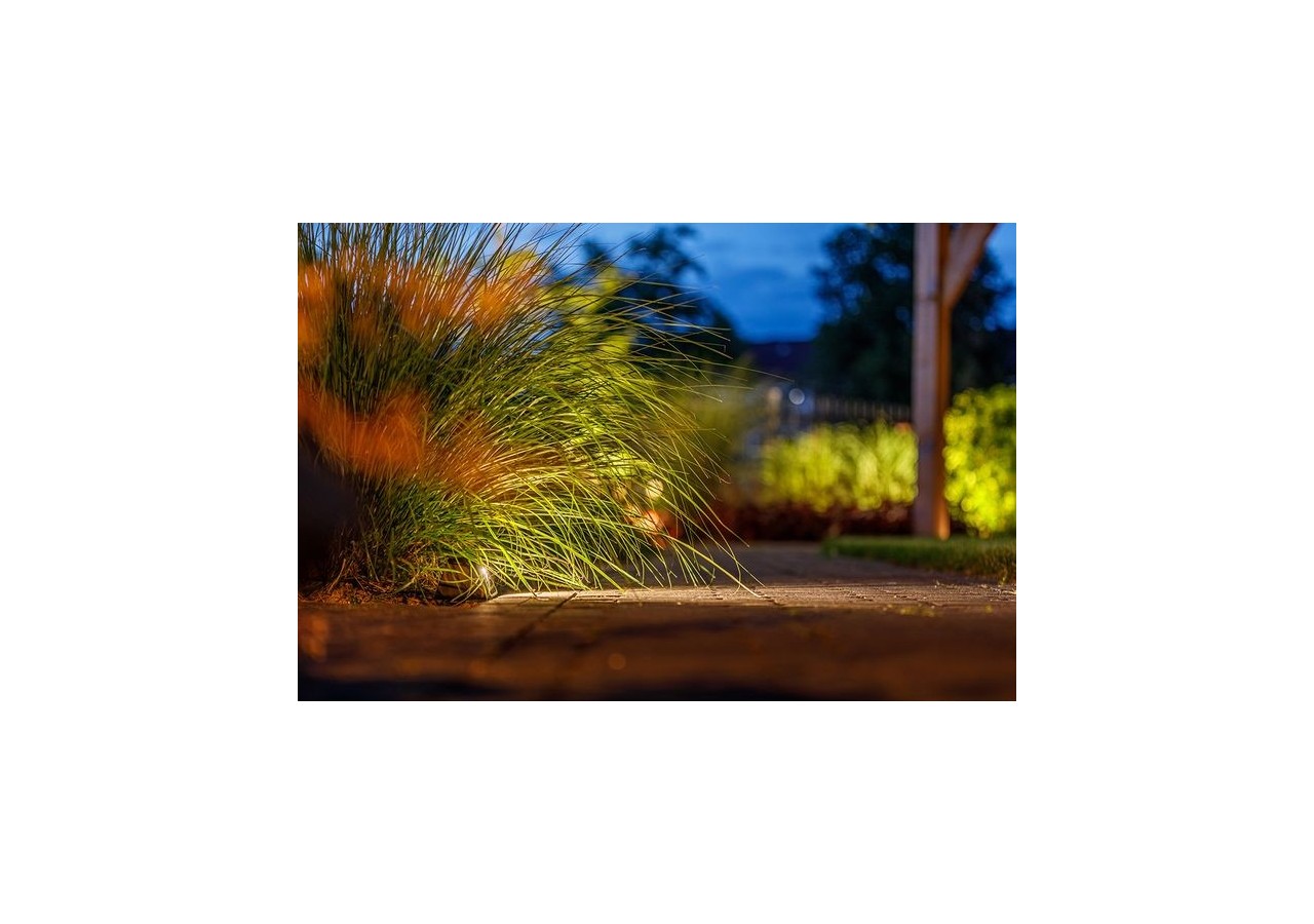 Tiga DL Eclairage murale-LP209S- Light Pro