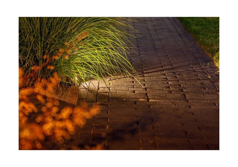 Tiga DL Eclairage murale-LP209S- Light Pro