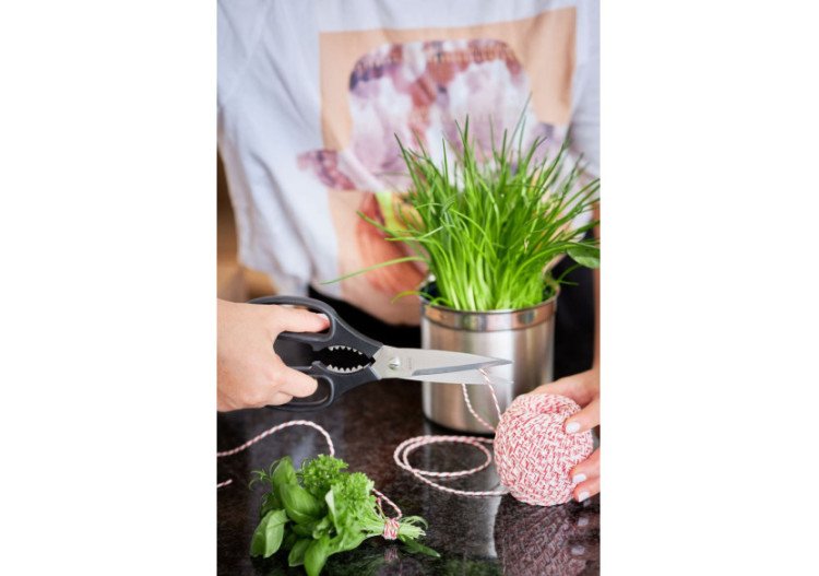 Ciseaux de Cuisine 22,5 cm - Lame en Acier Inoxydable Microdentée - RS 962904 - Rösle Keuken 2