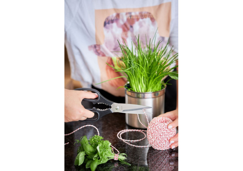 Ciseaux de Cuisine 22,5 cm - Lame en Acier Inoxydable Microdentée - RS 962904 - Rösle Keuken Ciseaux de Cuisine 22,5 cm - Lame en Acier Inoxydable Microdentée - RS 962904 - Rösle Keuken