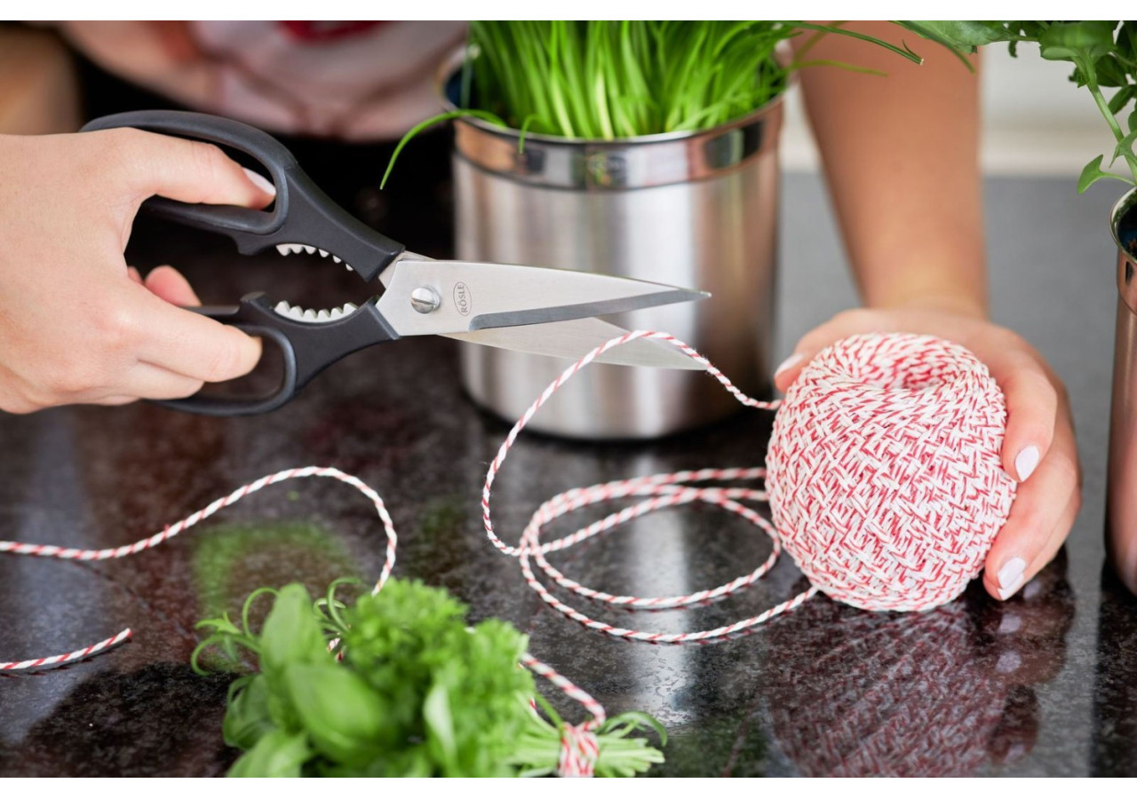 Ciseaux de Cuisine 22,5 cm - Lame en Acier Inoxydable Microdentée - RS 962904 - Rösle Keuken