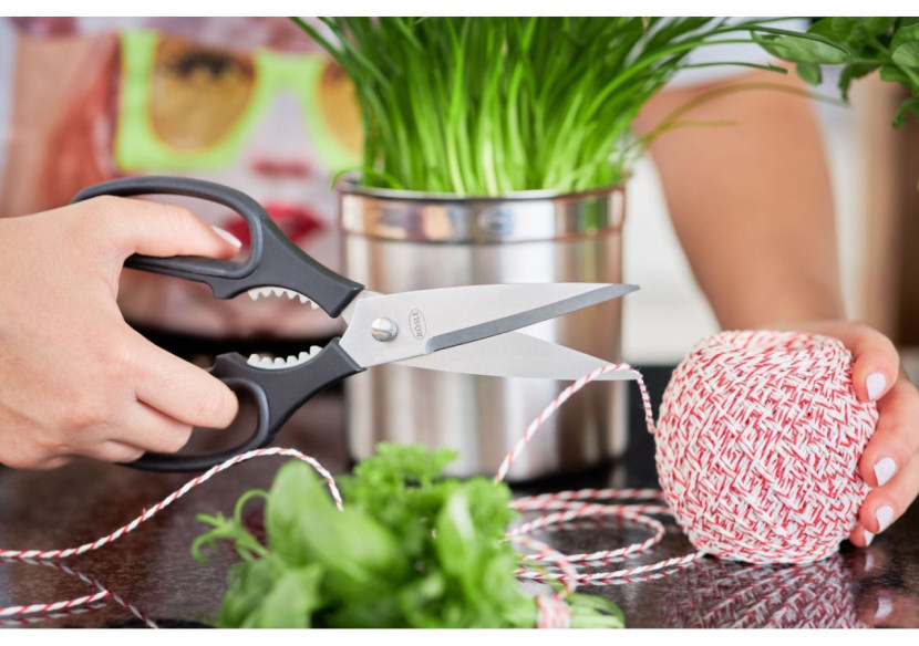 Ciseaux de Cuisine 22,5 cm - Lame en Acier Inoxydable Microdentée - RS 962904 - Rösle Keuken Ciseaux de Cuisine 22,5 cm - Lame en Acier Inoxydable Microdentée - RS 962904 - Rösle Keuken