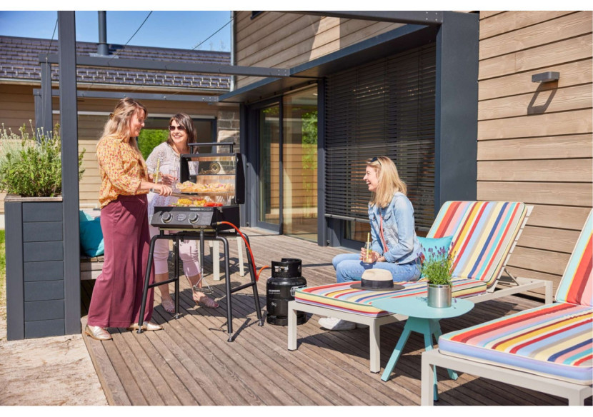 Brosse de nettoyage pour grille BBQ - Design fonctionnel et durable - RS 251688 - RÃ¶sle Barbecue