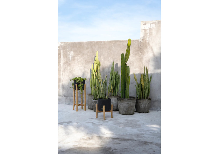 Charcoal Low - Noir Naturel - S - JABR043BN-S - Bazar Bizar