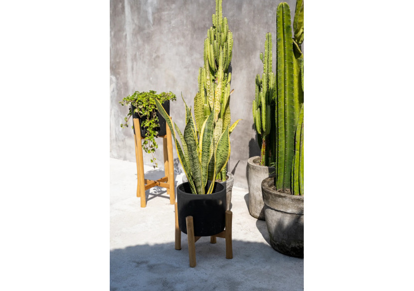 Charcoal Low - Noir Naturel - S - JABR043BN-S - Bazar Bizar