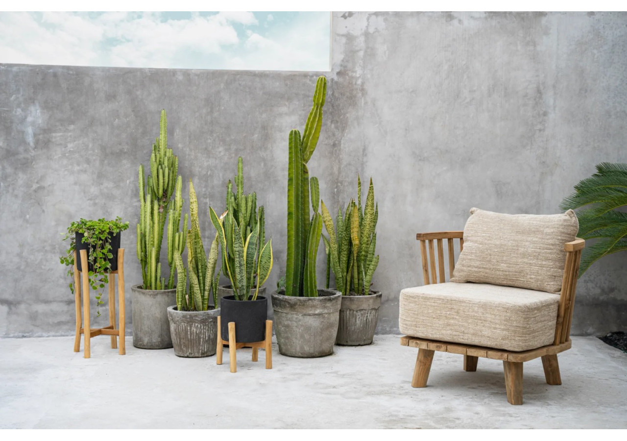 Charcoal Low - Noir Naturel - S - JABR043BN-S - Bazar Bizar