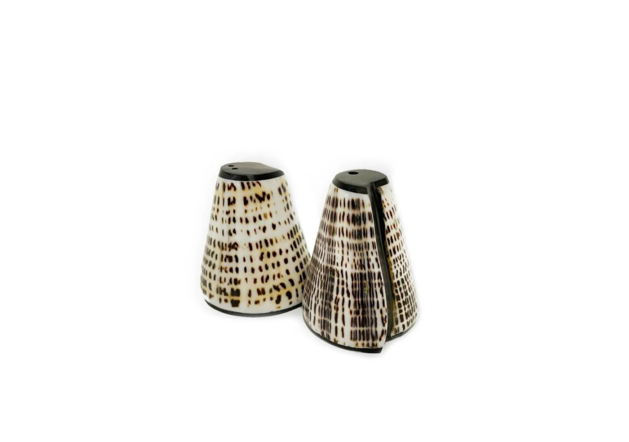Coquillages Sel & Poivre - Ensemble de 2 - BABL017N-SET2 - Bazar Bizar