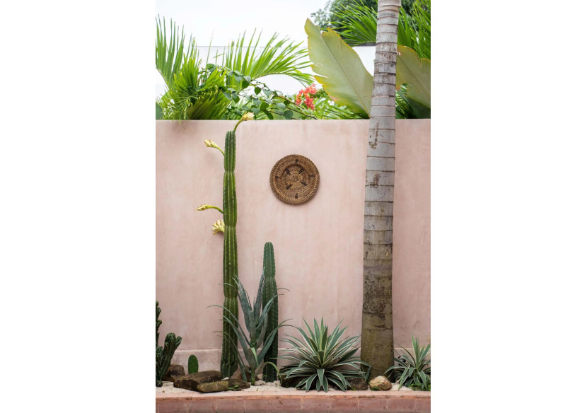 Assiette Jasmine - Marron - Taille S - BARA003Br-S-30 - Bazar Bizar