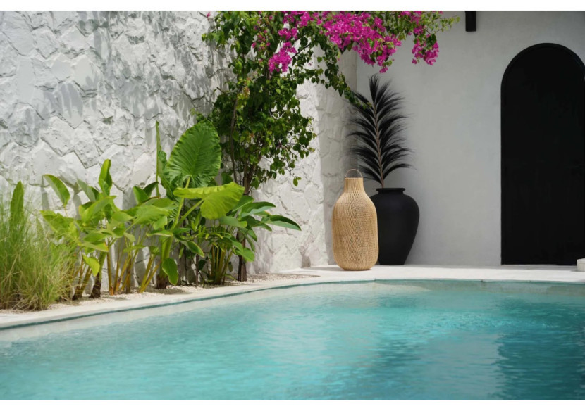 Feuille Éblouissante - Noir - Ensemble de 6 - BAJN122B-SET6 - Bazar Bizar