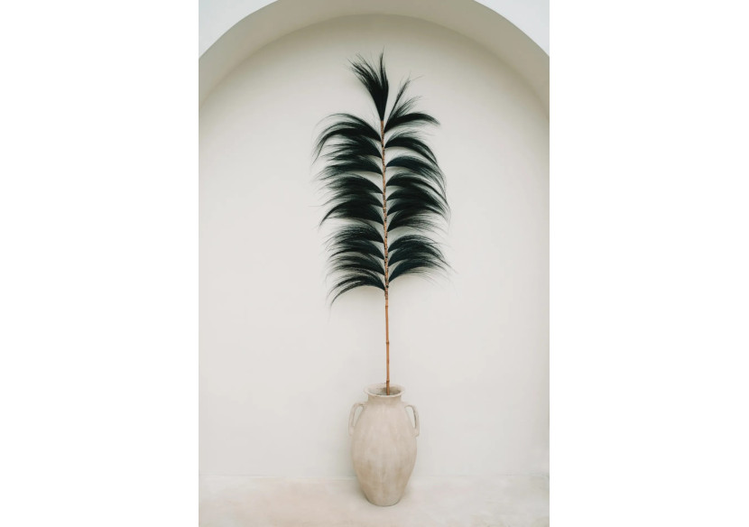 Feuille Éblouissante - Noir - Ensemble de 6 - BAJN122B-SET6 - Bazar Bizar