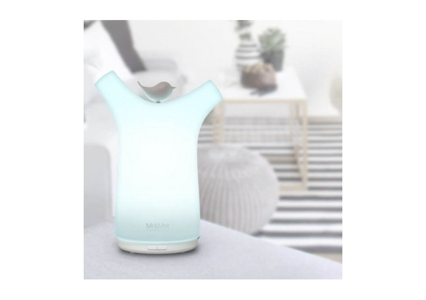 Capsules de Diffuseur d'Air Sissi Ultrasonique - Parfums variés et longue durée - MM 333027 - Mr & Mrs Fragrance