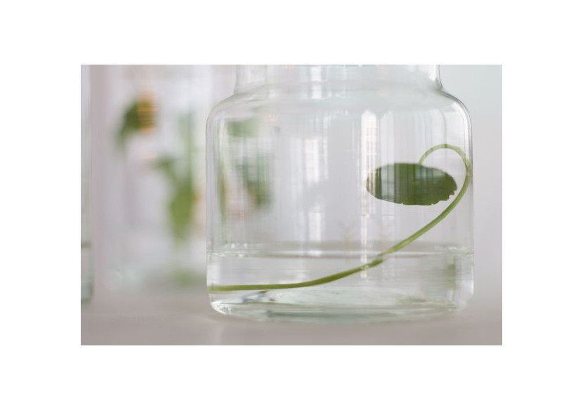 Verre à Boire M Handgemaakt - 10 x 14 cm, Écologique - TD 016891 - TAK Design