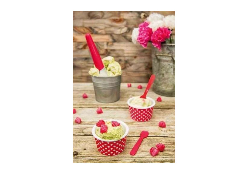 Set de 2 Coupelles à Glace Dotty avec Cuillère - 8 cm - ZK 1752-6 - Zak!Designs Set de 2 Coupelles à Glace Dotty avec Cuillère - 8 cm - ZK 1752-6 - Zak!Designs