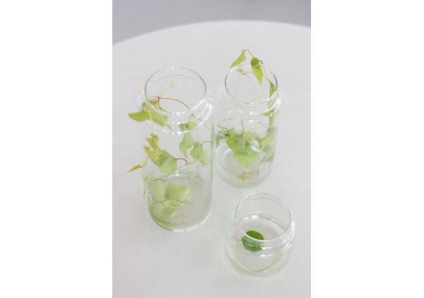 Verre à Eau S Handgemaakt Gold Arrow - Chic et Écologique - TD 016846 - TAK Design