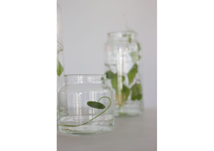 Verre à boire XL fait main - 10 x 30 cm Étoiles Cuivrées - TD 017072 - TAK Design