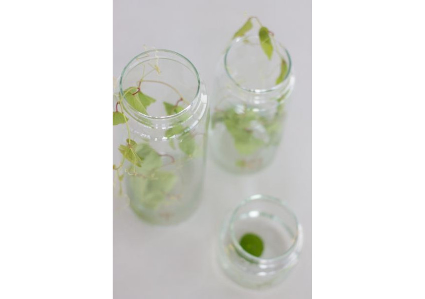 Verre à boire XL fait main - 10 x 30 cm Étoiles Cuivrées - TD 017072 - TAK Design