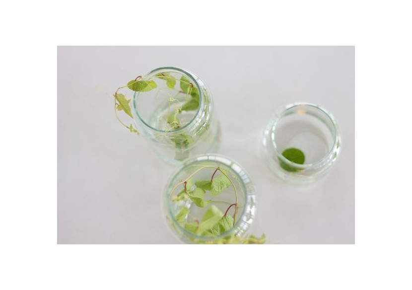 Verre à eau Drinker - Motif cuivre 10 x 11 cm fait main - TD 016822 - TAK Design