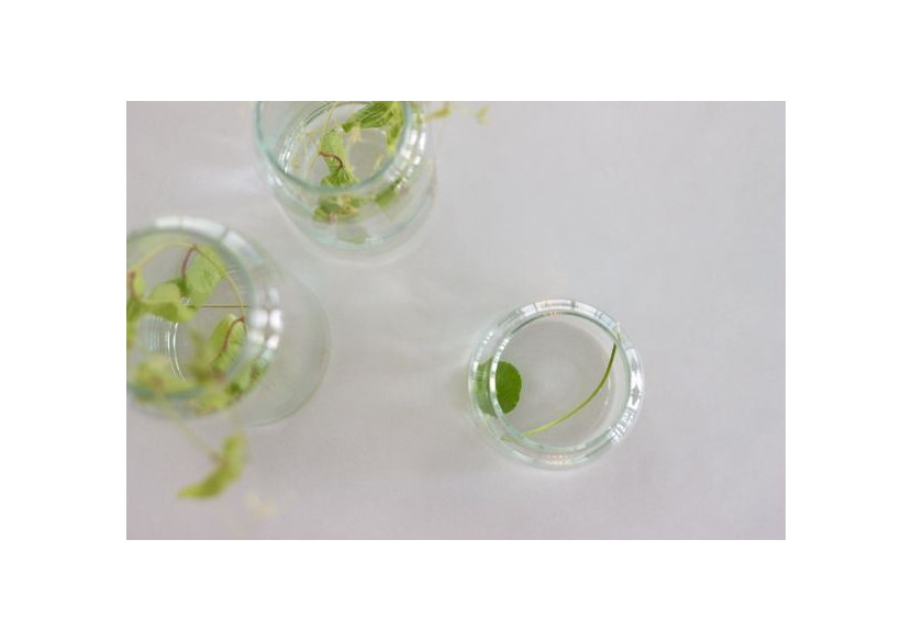 Verre à eau Drinker - Motif cuivre 10 x 11 cm fait main - TD 016822 - TAK Design