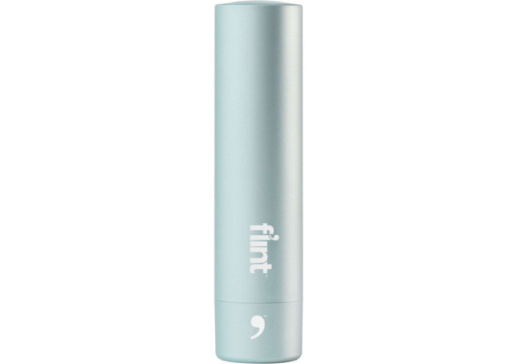 Rouleau anti-peluches métallique - Pratique et durable - FL 005833 - Flint