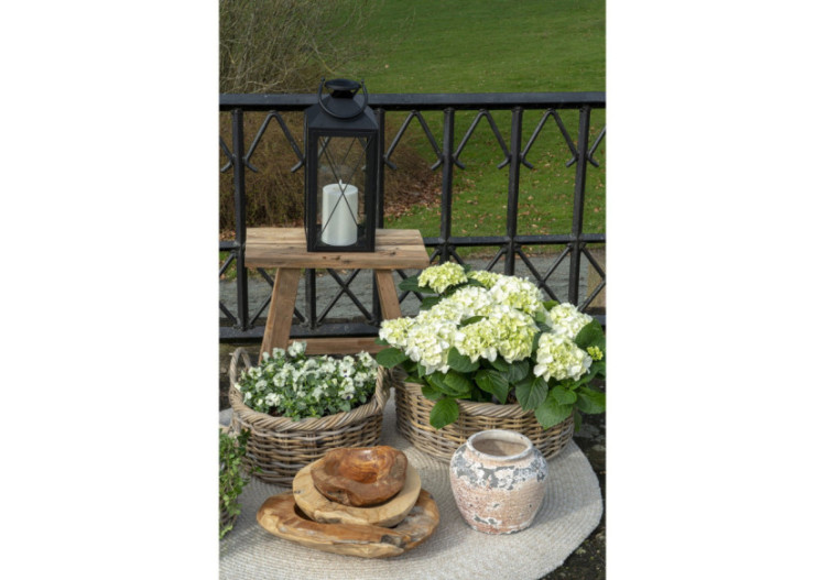 Bol Rio en Teck - Grand bol en teck 40 x H12 cm - 4501012 - House Nordic 2