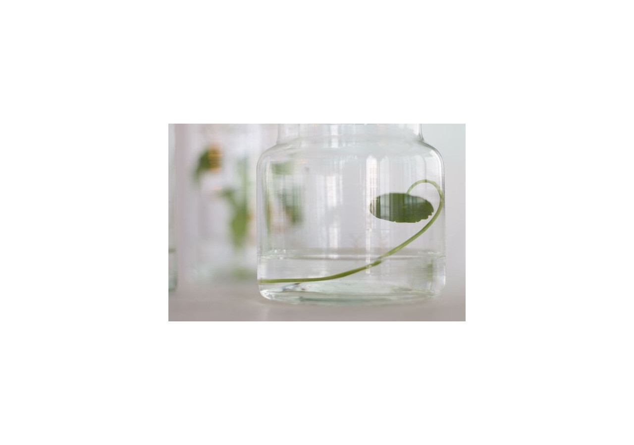 Verre à Boisson TAK Design - 10 x 14 cm, Diamant Argenté - TD 016921 - TAK Design