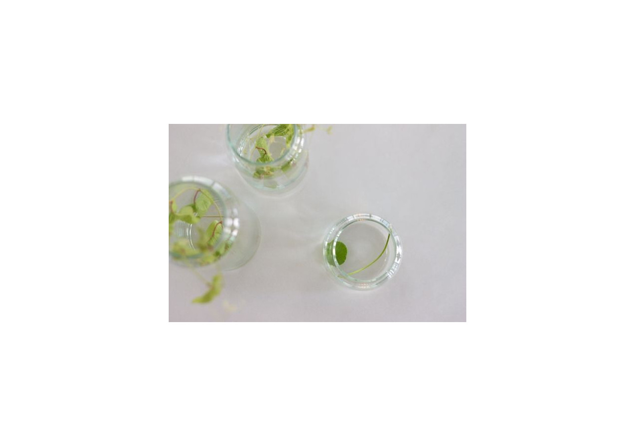 Verre à Boisson TAK Design - 10 x 14 cm, Diamant Argenté - TD 016921 - TAK Design