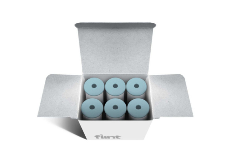 Recharges pour Rouleau Anti-Peluches Flint - Métallique - FL 020545 - Flint 2