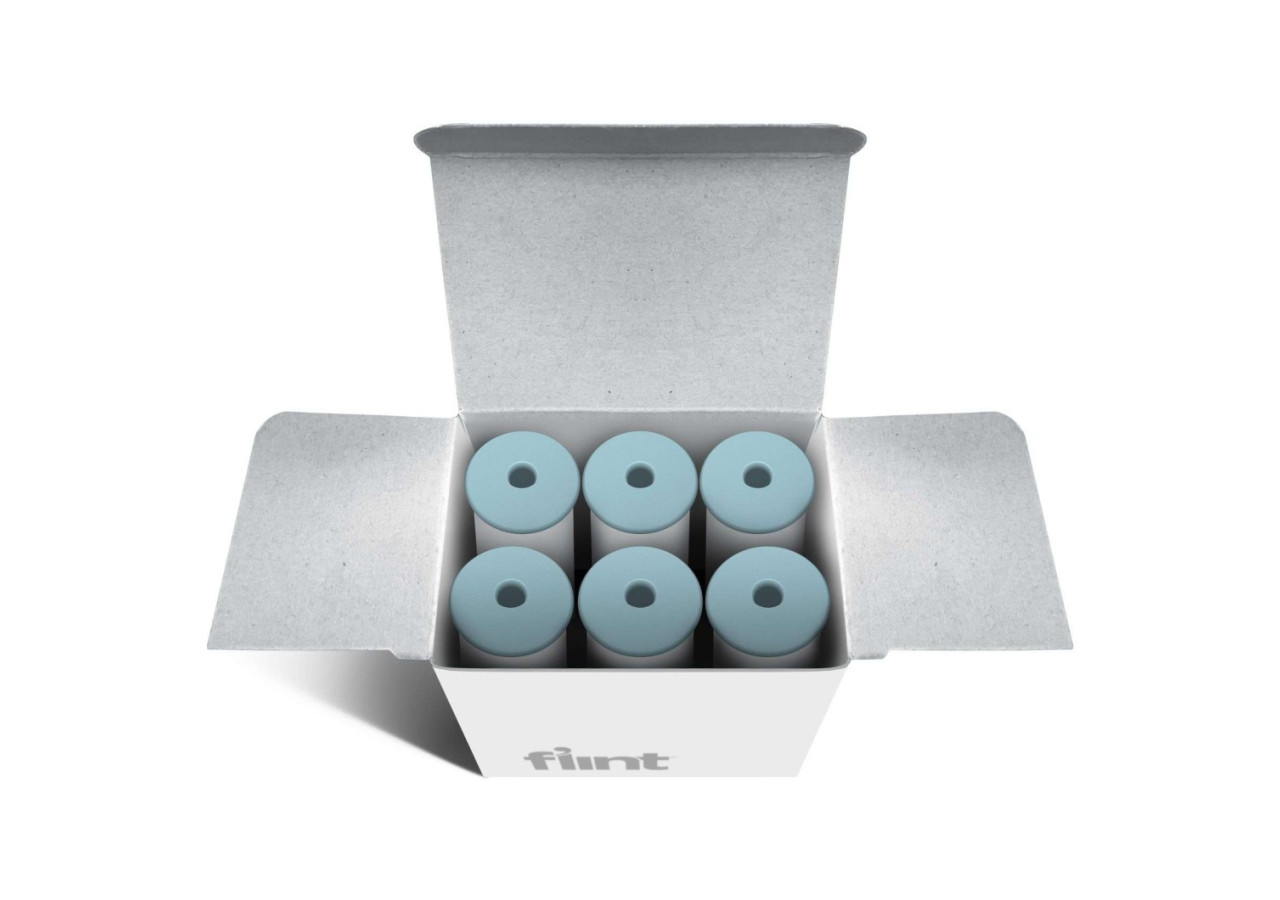 Recharges pour Rouleau Anti-Peluches Flint - Métallique - FL 020545 - Flint