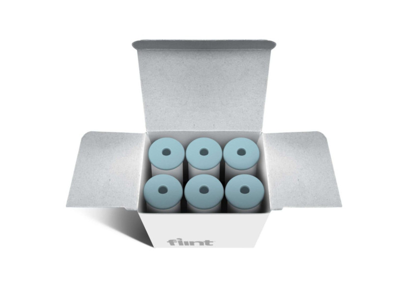 Recharges pour Rouleau Anti-Peluches Flint - Métallique - FL 020545 - Flint