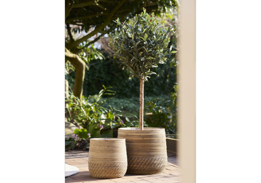 Olivier Artificiel - Arbre vert 120 cm - 9501060 - House Nordic