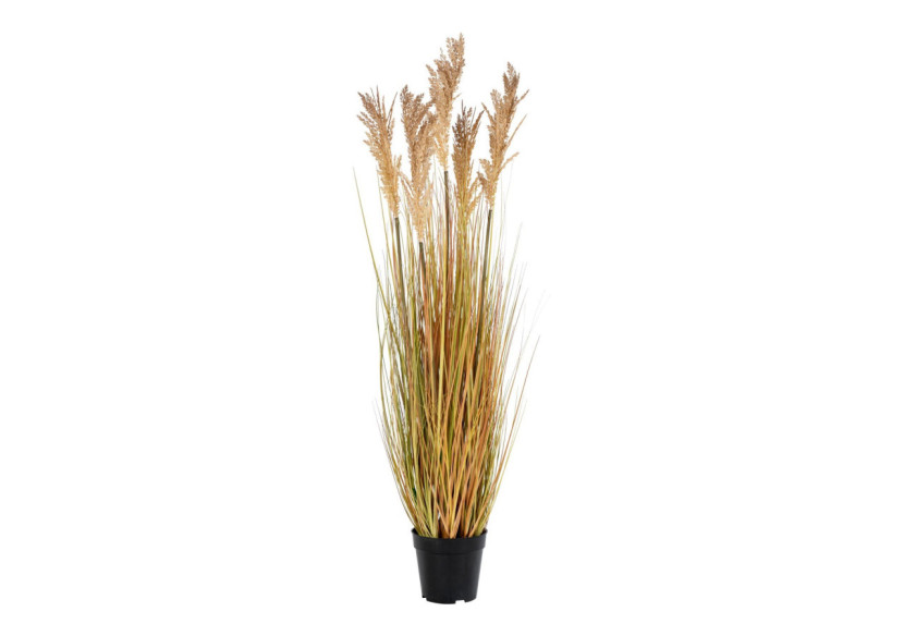 Herbe de Sorgho - Plante artificielle 110 cm - 9501070 - House Nordic