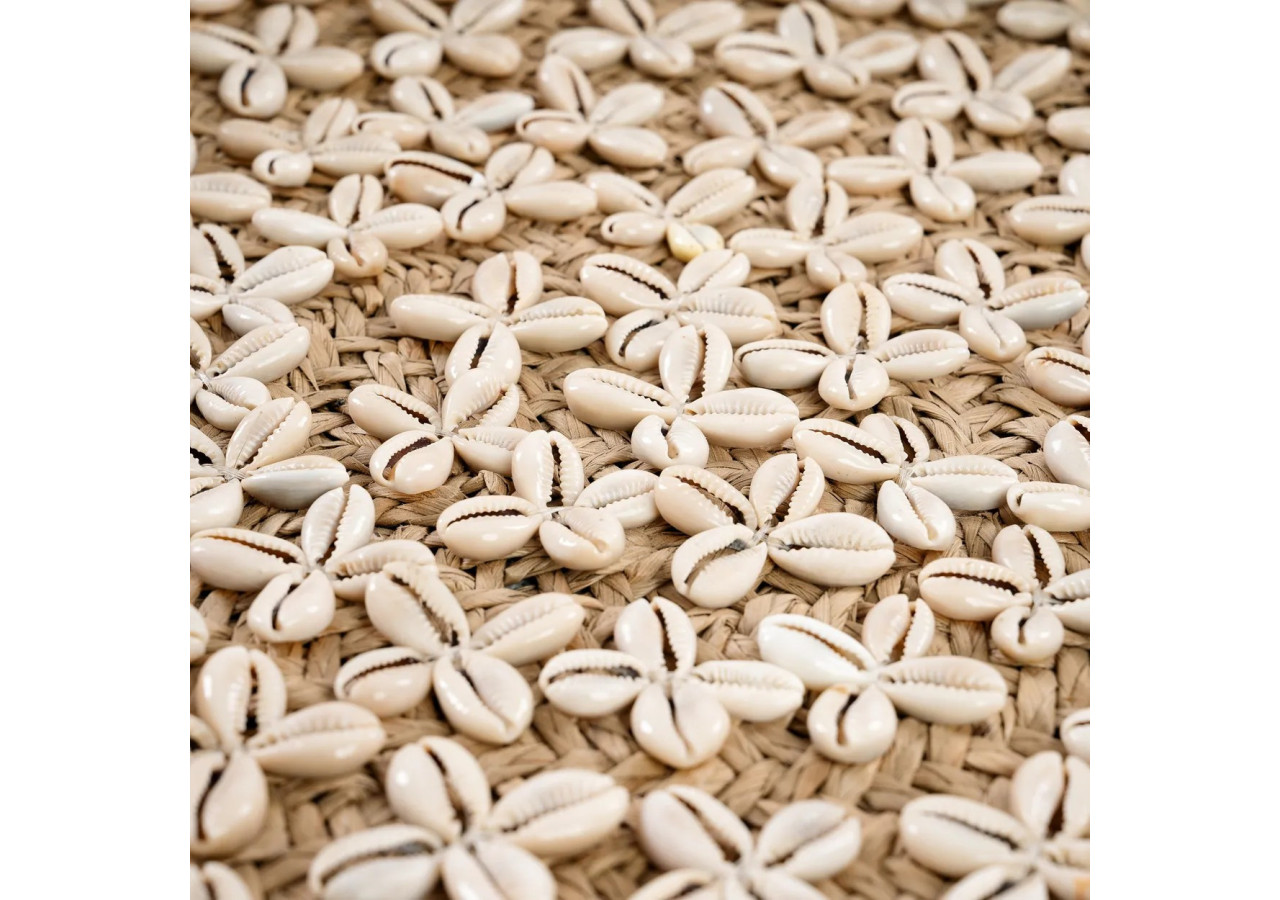 Assiette Costa Shell - Blanc Naturel - Moyen - JABR072NW-M - Bazar Bizar