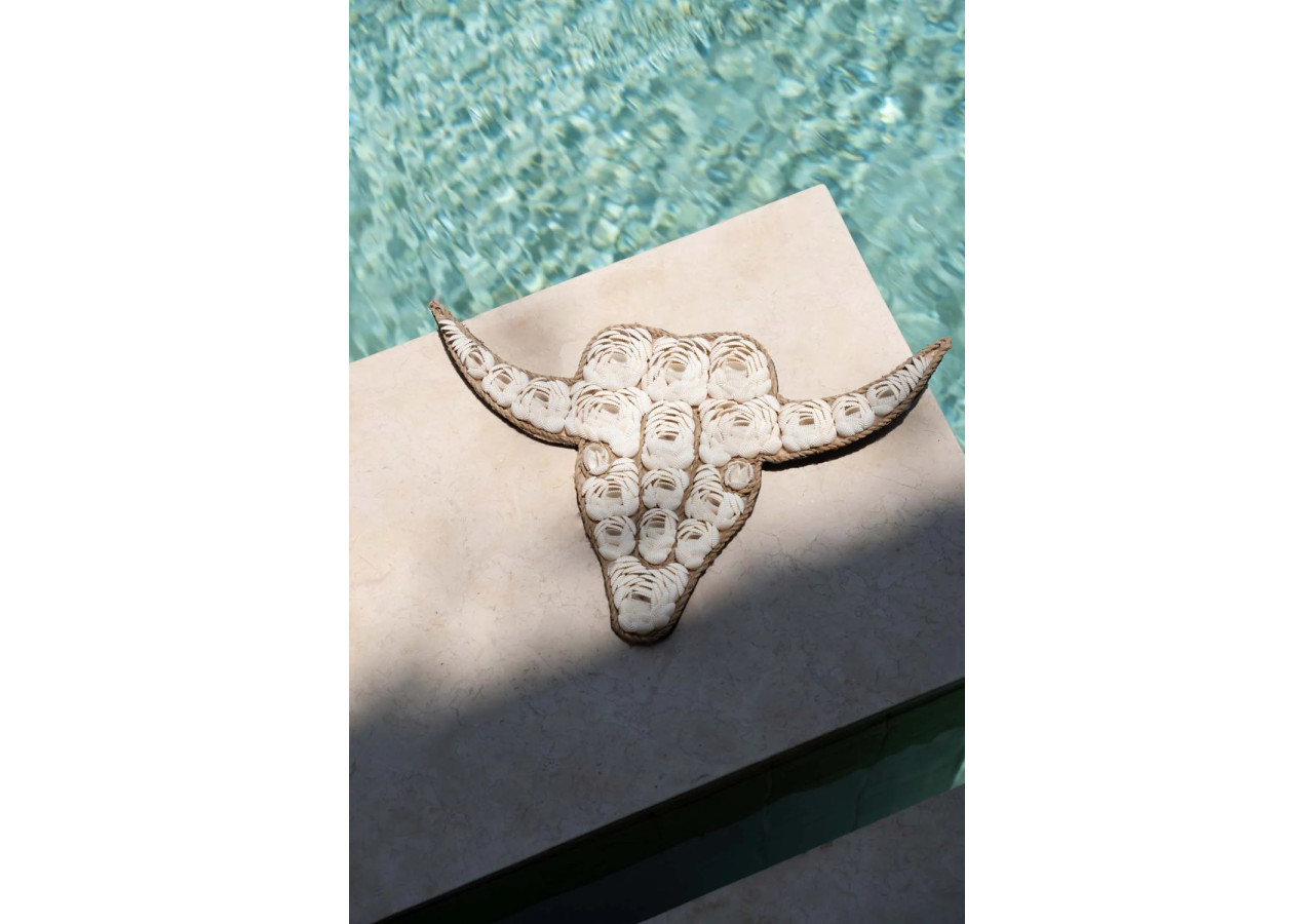 Coquillage Taureau - Blanc - BABL021W - Bazar Bizar