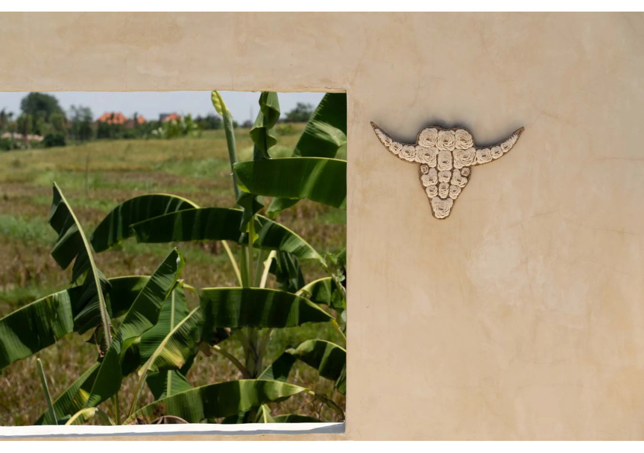 Coquillage Taureau - Blanc - BABL021W - Bazar Bizar